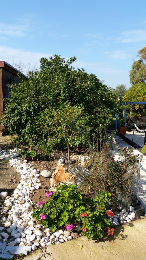 הוילה עכו אסבן מג'יק גרדן מראה חיצוני תמונה