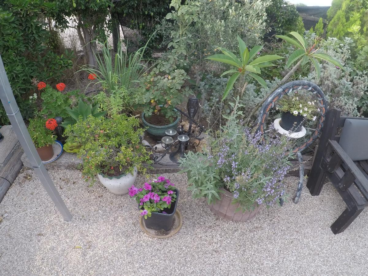 הוילה עכו אסבן מג'יק גרדן מראה חיצוני תמונה
